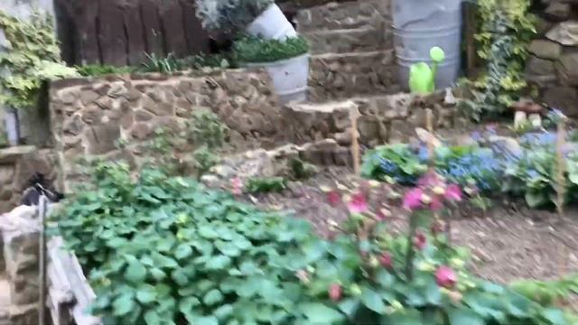 Спешила но не успела. (25.04.24) смотреть онлайн