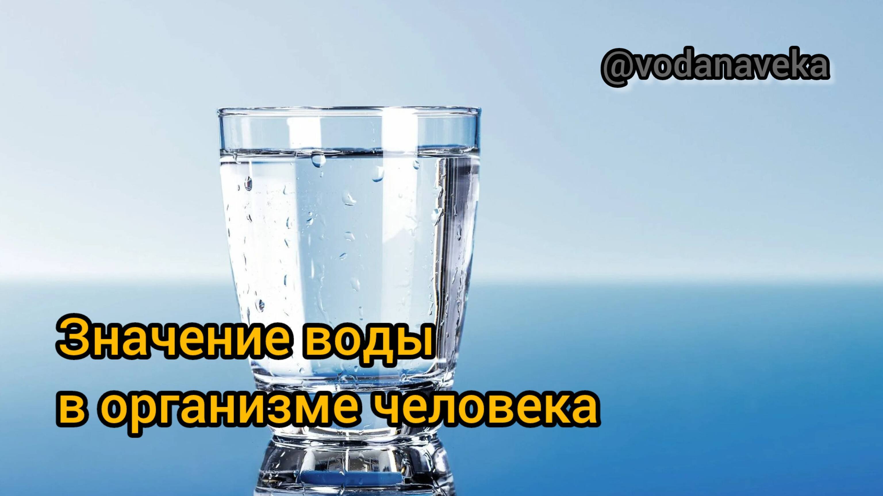 Значение воды в организме человека