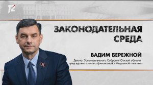 Законодательная среда 04.12.2024