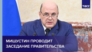 Мишустин проводит заседание правительства