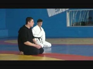 Система Кадочникова - семинар А. Ермакова. Часть 1