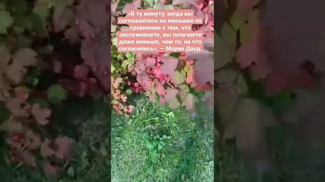 #познание_себя #измененияжизни #радость_жизни
