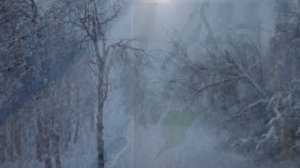 СЕРГЕЙ ЕСЕНИН.  "  Я ПО ПЕРВОМУ СНЕГУ БРЕДУ... "  ( видеоклип)