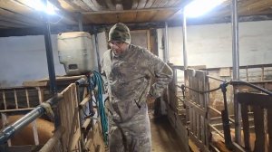 счастье привалило