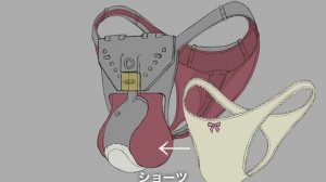 貞操帯の図解#9(Chastity Belt Description)