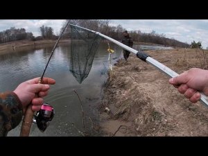 Форелевый платник в Кокино