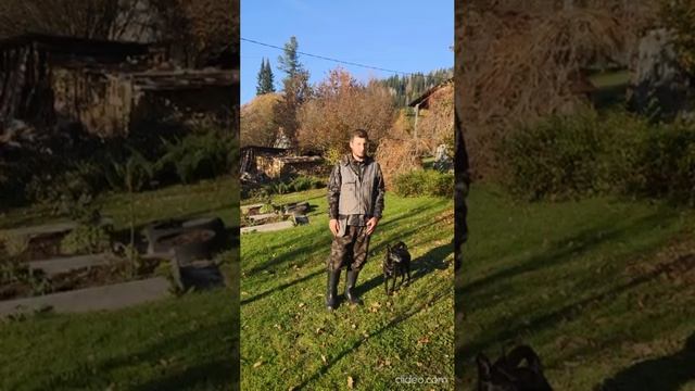 Примеры подзыва от Василия Бахман