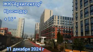 Краснодар - ЖК "Архитектор" - 11 декабря 2024 г