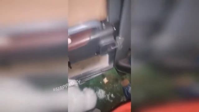 Я РЖАЛ ЦЕЛЫЙ ЧАС😹КОШКИ 2021 ЛУЧШИЕ ПРИКОЛЫ   СМЕШНЫЕ ЖИВОТНЫЕ ЗА ВЕСЬ ЯНВАРЬ 20