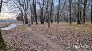 Моя JAWA-638 11.12.24г.