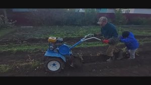 Копаю картофель Нева МБ 2,самодельной картофелекопалкой ,сделанной из металлолома!