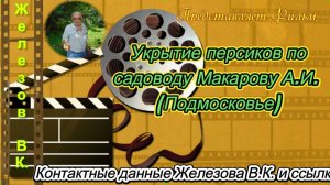 Укрытие персиков по садоводу Макарову А.И. (Подмосковье)