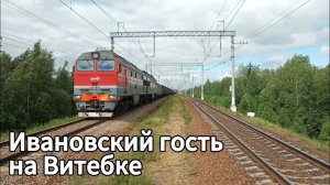 Басистый 2ТЭ116УД-018 с грузовым поездом, перегон Кобралово - Семрино ( о.п. 41 км )