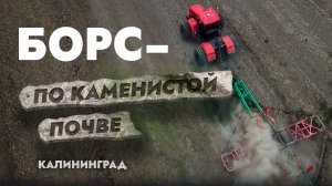 Работа по каменистой почве. Калининградская область