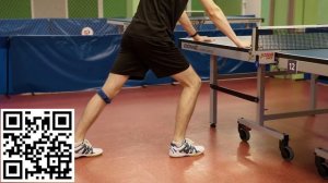 Теория и методика учебно-тренировочного процесса по избранному