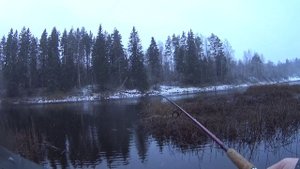 Снег ,метель рыбалка на спиннинг лен область.