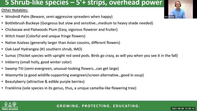 Lunch and Learn: Right Tree, Right Place смотреть онлайн