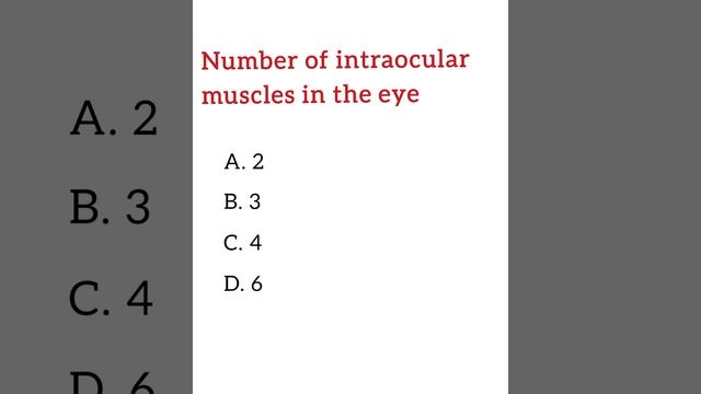 Number of intraocular muscles in the eye.....