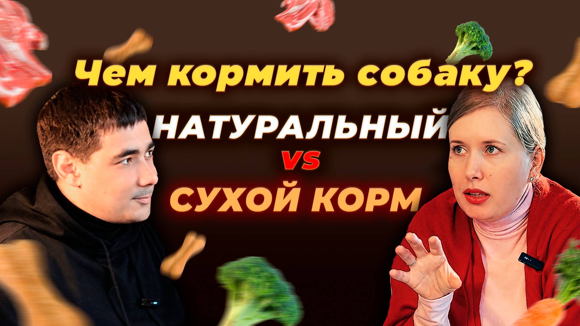Чем кормить собаку? Натуральный или сухой корм? Обсуждаем с ветдиетологом Любой Корочевой