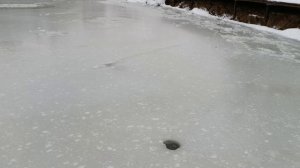 12.12.24.открываемся. РК Фишка Липки.