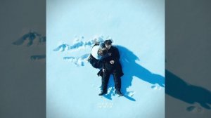 название: мистер планктон