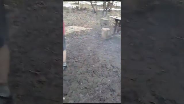 результат интенсивного горячего копчения муксуна и нельмы