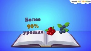 Что если все пчелы вымрут?