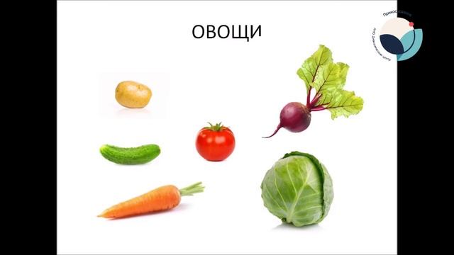 Видеоурок  Овощи