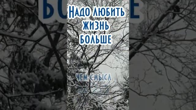 Цитата о жизни #shortsclip #жизнь #life #смыслжизни