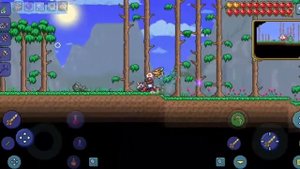Как найти ковёр самолёт в Terraria
