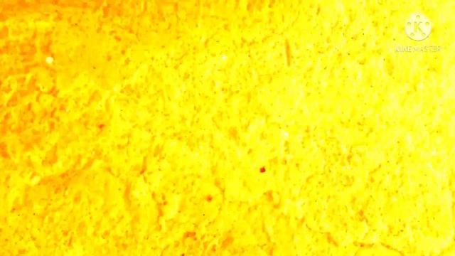 Admire Desire-SPENCER FOX Furry 2021 (Official Music Video) Furry Yiff #Furry