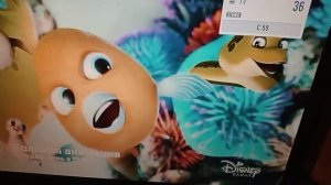 Фрагмент эфира Disney (11.12.2022)