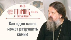 «ЕЩЕ РАЗ ПРО ЛЮБОВЬ...» Вторник с батюшкой. Беседа с прот. Андреем Лемешонком 10 декабря 2024 г.