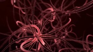 Медитация для женщин. На получения силы от женской части рода 🧘🏼♀️ 🧚🏽♀️