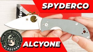 Нож Spyderco Alcyone, CTS-BD1N, G10 Gray, C222GPGY