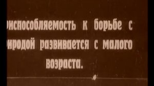 Документальный экран.  Серия 5.  Лесные люди