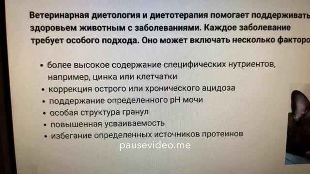 Основы диетологии - белок.