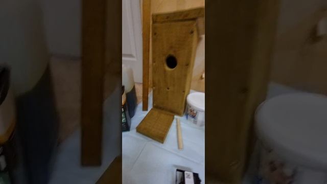 скворечник с камерой