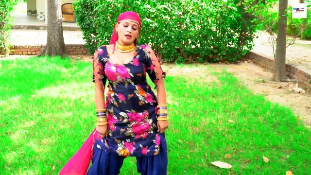 रुवाई सारी रात || Mewati Video Song || Sameer Singer || Sehnaaj || New Mewati Songs 2023 смотреть онлайн