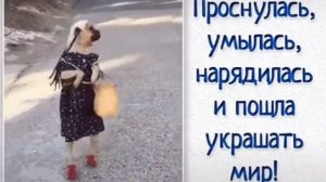 Ооо как я ляблю когда собака переходит дорогу