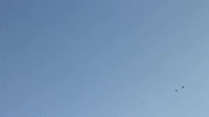 Голуби краснодарские бойные краснобокие