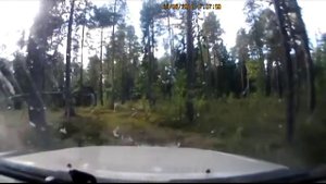 КАРЕЛИЯ ОНДОЗЕРО 2011 дорога