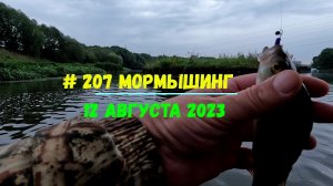 207 Мормышинг 12 августа 2023