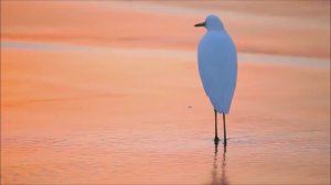 *Лицом к лицу* Я падаю в Тебя*