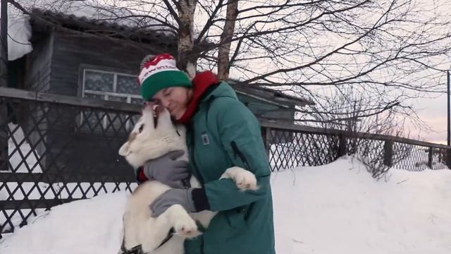 #Хаскитур Семь Континентов смотреть онлайн