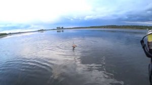 Клёв перед дождём.Магалон косит щук 11.08.2019