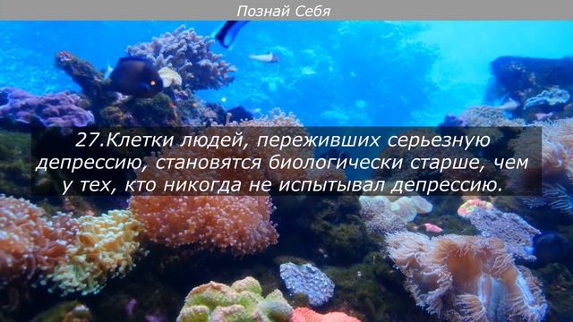50 Психологических Фактов о Людях | Психология людей