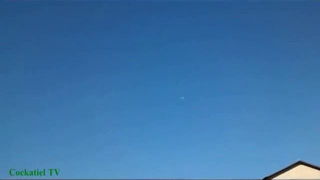 Корелла мотоциклист
