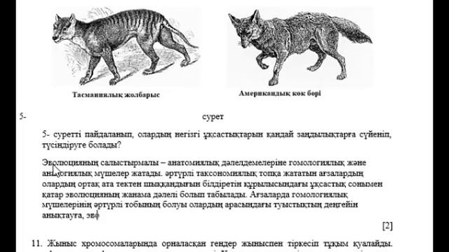 10 сынып Биология 3 тоқсан ТЖБ