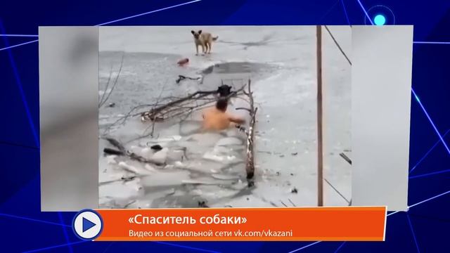 Мобильный репортёр от 8 марта смотреть онлайн